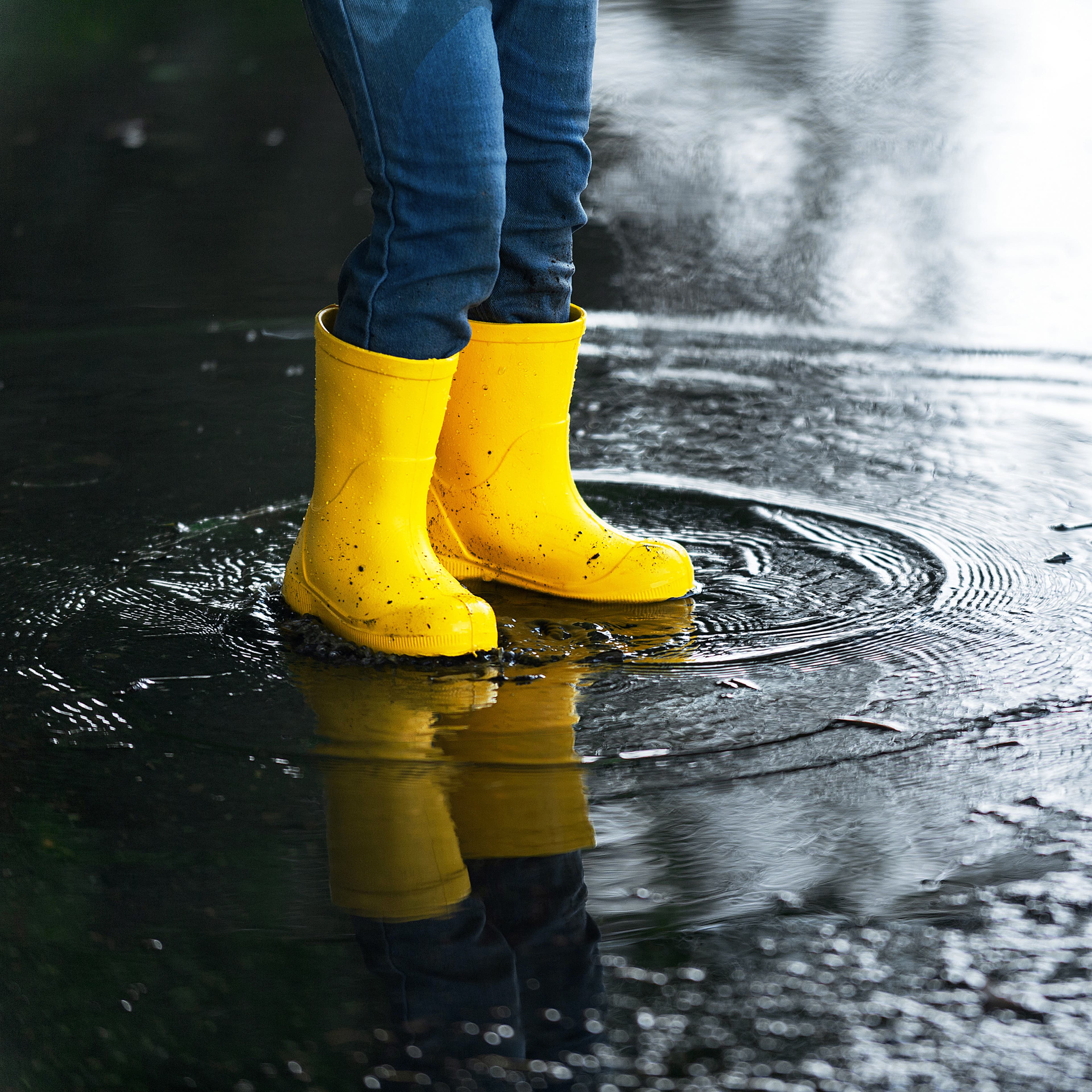 Flood Insurance.jpg