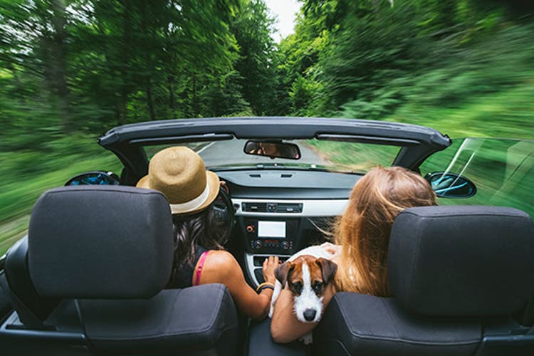 women on open road.jpg