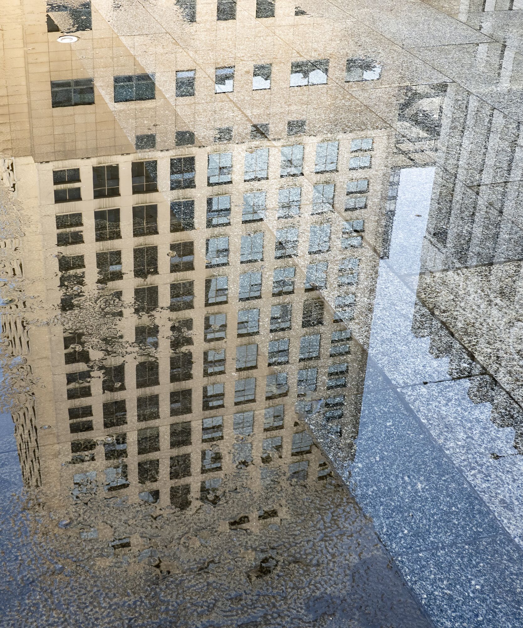 Flood