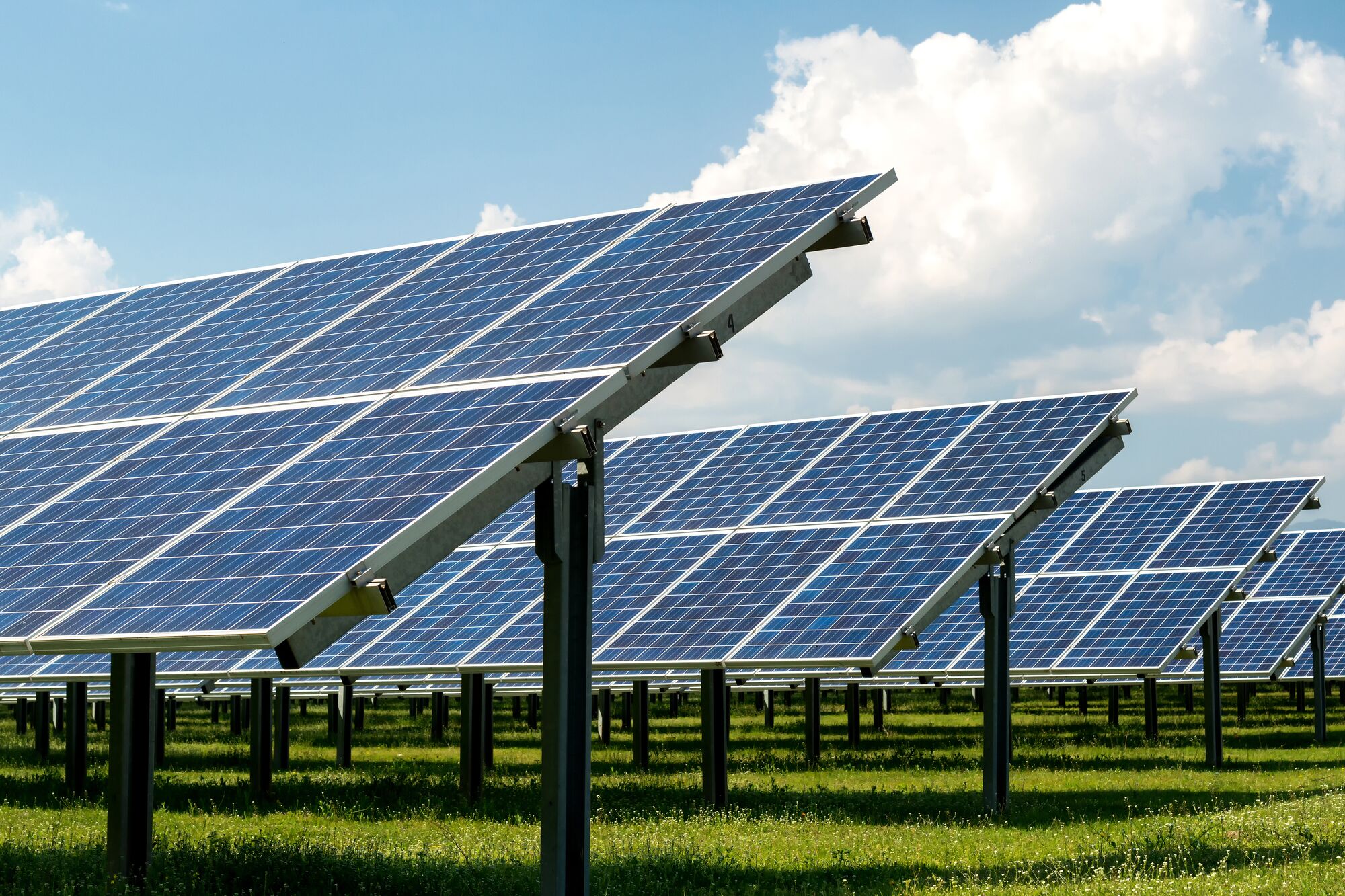 Sustainability